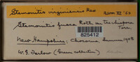 Image Associated With the Occurence